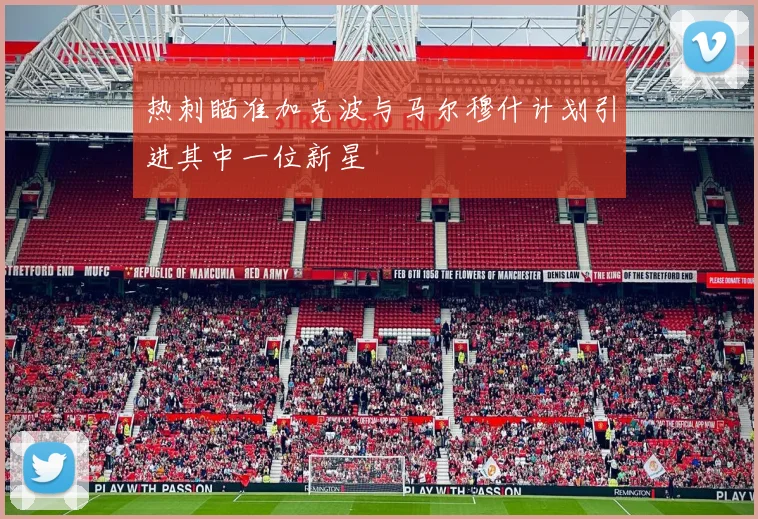 热刺瞄准加克波与马尔穆什计划引进其中一位新星
