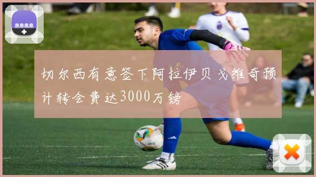 切尔西有意签下阿拉伊贝戈维奇预计转会费达3000万镑